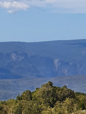 Xu_MountainRange_BahorucoPeninsula_AlexaVoss.jpg