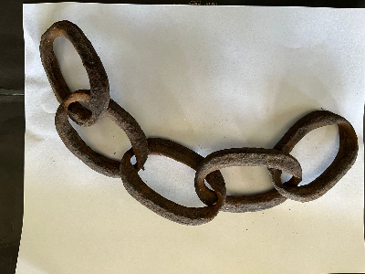 Zr_SlaveChain_BahorucoPeninsula_DomingoAbreu.jpg
