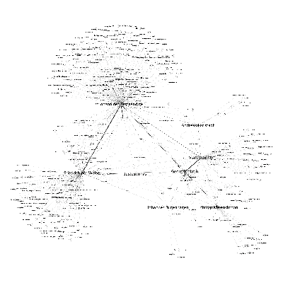 Abb1_Gesamtes-Netzwerk_Gephi.png