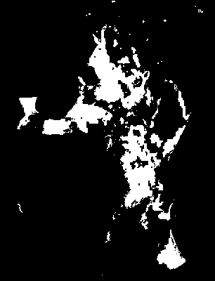 chpa_245_2041_mtss_upper.tif
