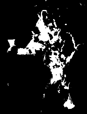 chpa_126_2081_mtss_upper.tif