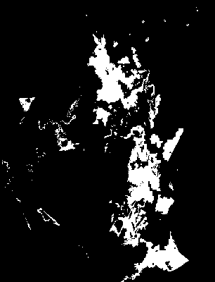 chpa_585_2081_mtss_upper.tif
