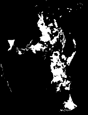 chpa_245_2081_etss_lower.tif