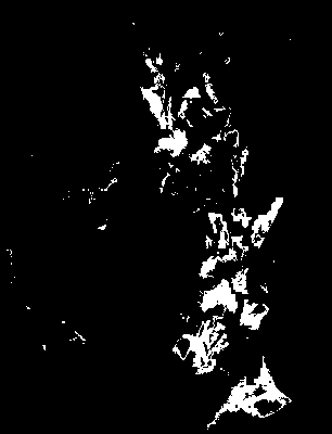 chpa_585_2081_tp_upper.tif