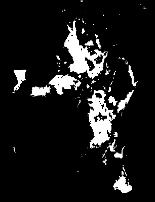 chpa_245_2041_etss_lower.tif
