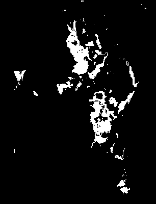 chpa_245_2041_tp_upper.tif