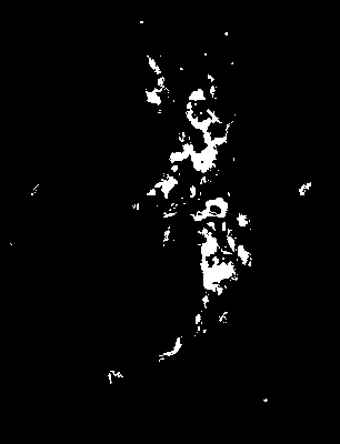 bufu_245_2081_etss_mean.tif