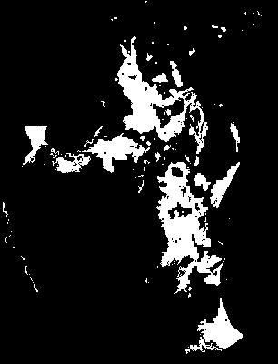 chpa_245_2081_mtss_lower.tif