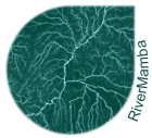 RiverMamba: A State Space Model for Global River Discharge and Flood Forecasting [data set]