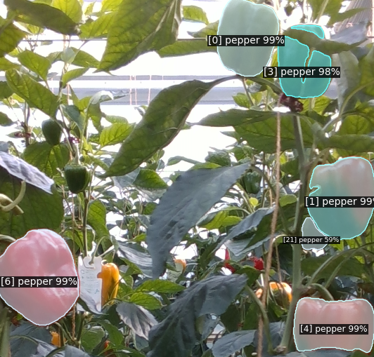 BUP-ST20: Weakly Labelled Spatial Temporal Sweet Pepper Data