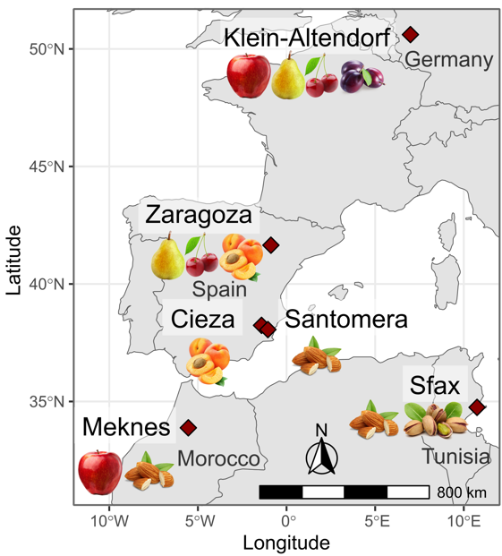 Supporting Information for manuscript: Contrasting responses to climate change – predicting bloom of major temperate fruit tree species in the Mediterranean region and Central Europe