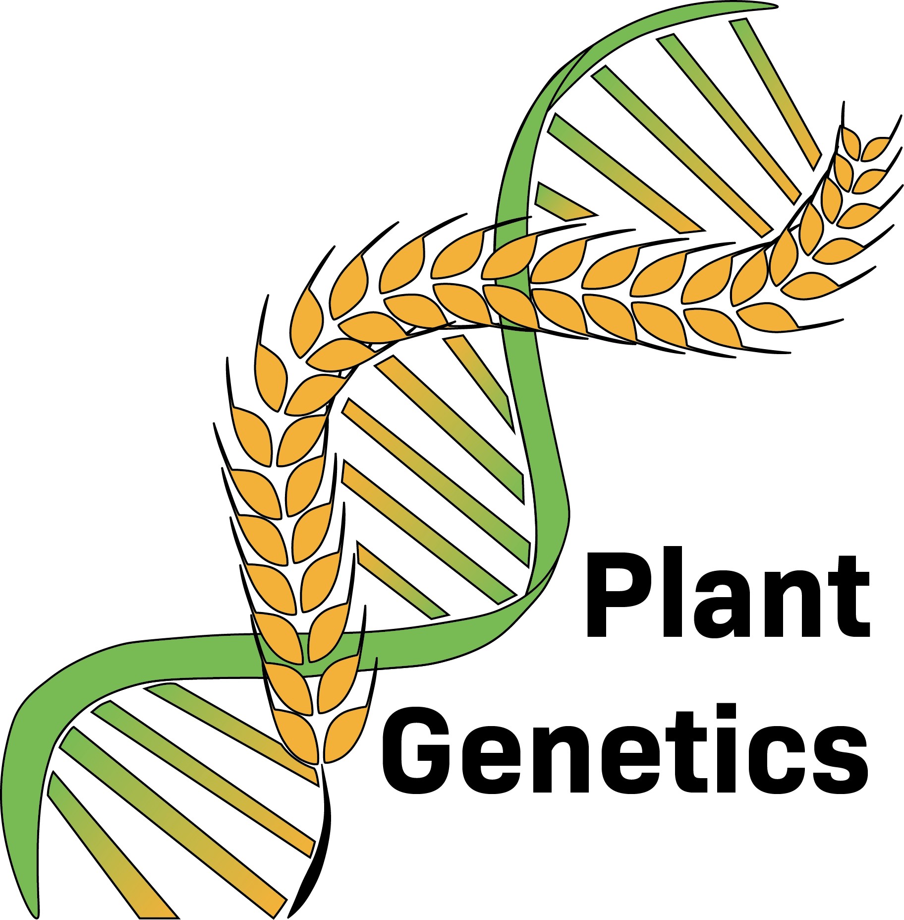 Supplementary information: Hordeum erectifolium, a physiological and genomic study of drought-adaptive traits