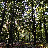 Thumbnail for Dataset: Drought damage to forest trees by hygroscopic particles