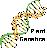 Thumbnail for Supplementary information: Hordeum erectifolium, a physiological and genomic study of drought-adaptive traits