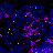 Thumbnail for Microscopy images of renal macrophages in the tissue environment and in 3D cultures