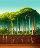 Thumbnail for Carbon stocks in aboveground and belowground pools in diverse land uses in the Atlantic Forest in Brazil